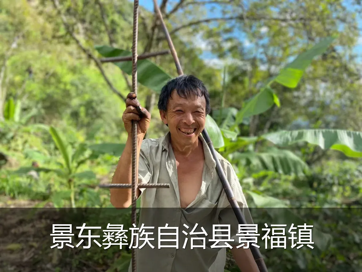 景东彝族自治县景福镇